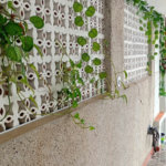 🏡 LINDÍSSIMA CASA DE 3 DORMITÓRIOS NO JARDIM REAL