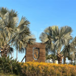 Terreno a venda em Analandia Estancia Cavalinho