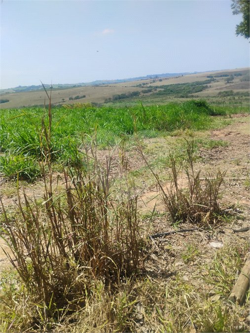 Excelente Sítio à Venda em Monte Mor – SP