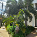 Casa à Venda no Condomínio Damha III – São Carlos/SP