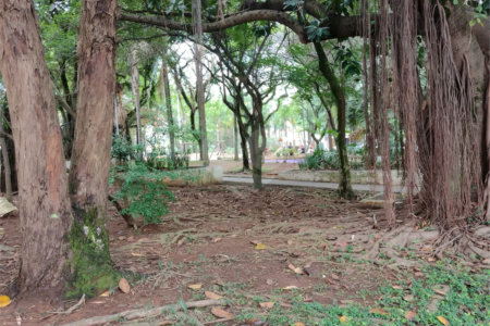 Apartamento Alto Padrão Lazer Completo ,com 3 quartos, 250 m² à venda Parque da Mooca.
