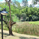 Terreno à Venda no Condomínio Santa Isabel 1