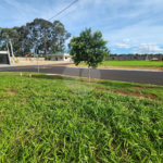 Loteamento no Recanto do Sabias á venda