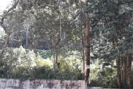 Terreno à venda em Vila Andrade, São Paulo, SP