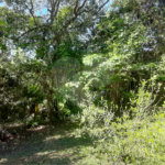 Terreno à venda no condomínio Alpes da Cantareira, Mairiporã - SP