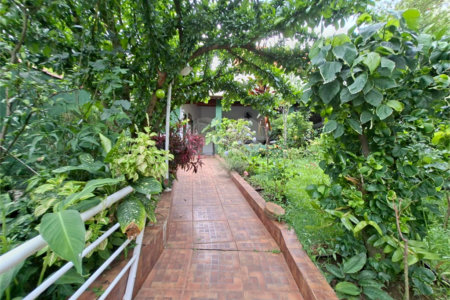 Casa à venda ou para alugar com 4 quartos, sendo 2 suítes, em Vila Mazzei, São Paulo, SP