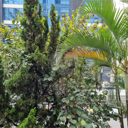 Apartamento à venda com 3 quartos, sendo 1 suíte, em Liberdade, São Paulo, SP
