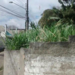 Terreno à venda em Horto Florestal, São Paulo, SP