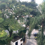 Apartamento à venda com 3 quartos em Casa Verde, São Paulo, SP