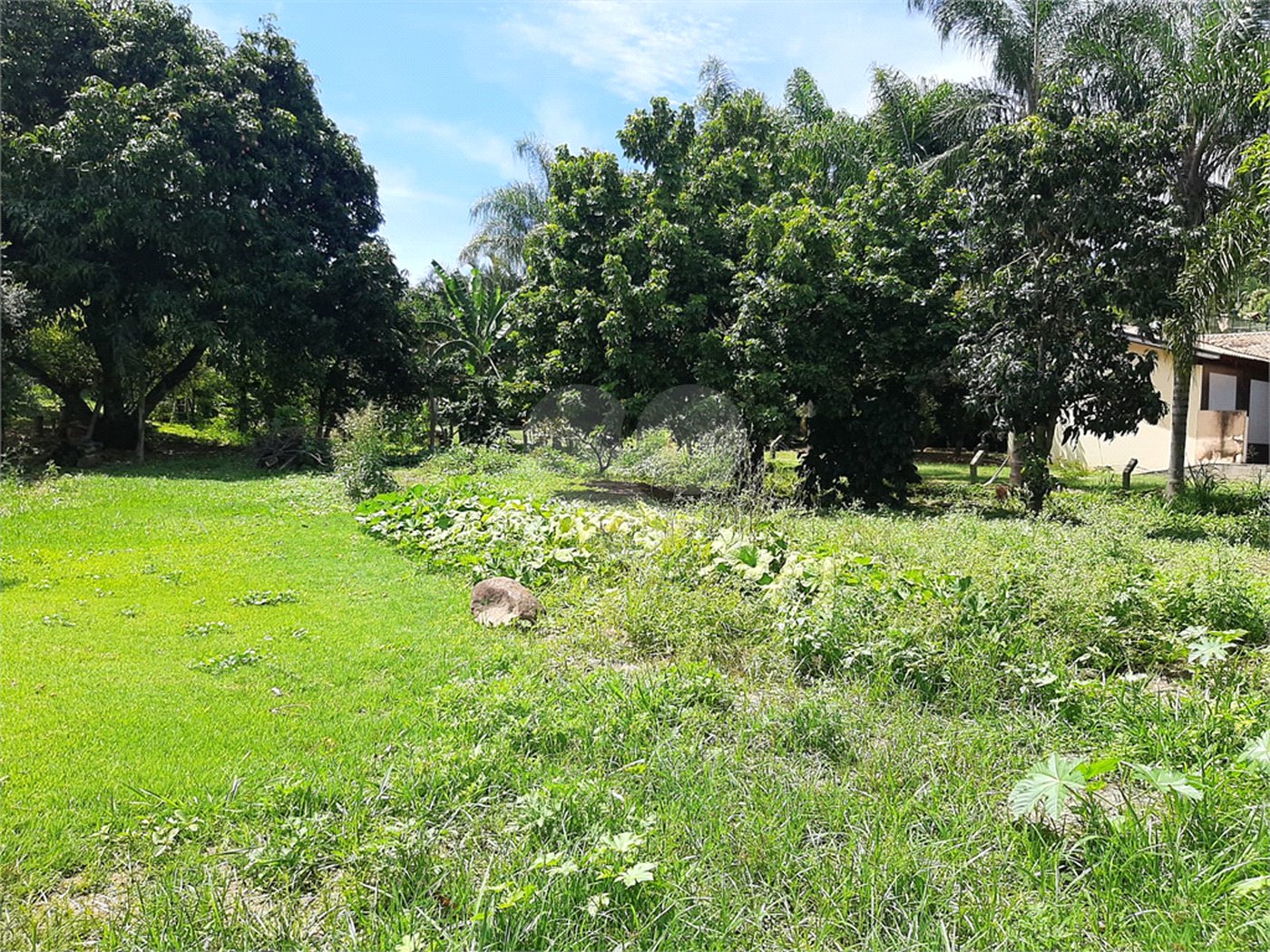 Terreno à venda em Cachoeira, Vinhedo, SP