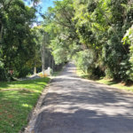 Terreno à venda no condomínio Associação Reserva das Hortênsias, Mairiporã - SP