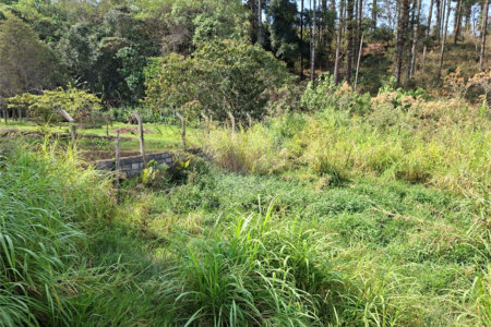 Terreno à venda em Chácara Fernão Dias, Bragança Paulista, SP