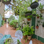 Casa à venda ou para alugar com 4 quartos, sendo 2 suítes, em Vila Mazzei, São Paulo, SP