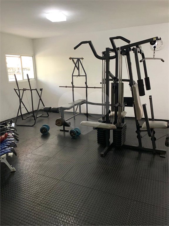 Apartamento à venda com 3 quartos, sendo 1 suíte, em Água Fria, São Paulo, SP