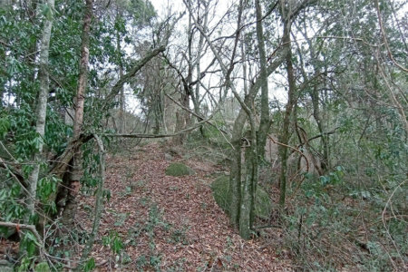 Terreno à venda em Chácaras Alpina, Valinhos, SP
