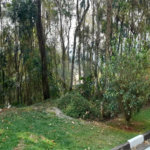 Terreno à venda em Roseira, Mairiporã, SP