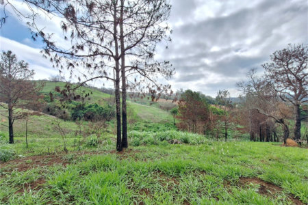 Área de Terra à venda com 1 suíte em Cocais, Itatiba, SP