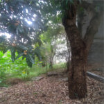 Terreno à venda em Casa Verde, São Paulo, SP