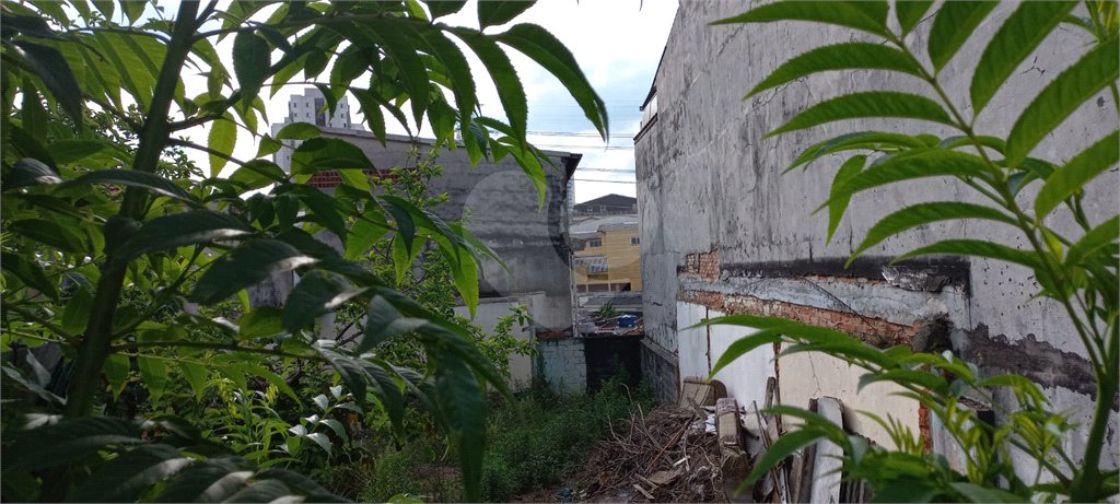 Terreno à venda em Vila Maria, São Paulo, SP