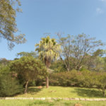 Sítio à venda em Chácara São João, Campo Limpo Paulista, SP