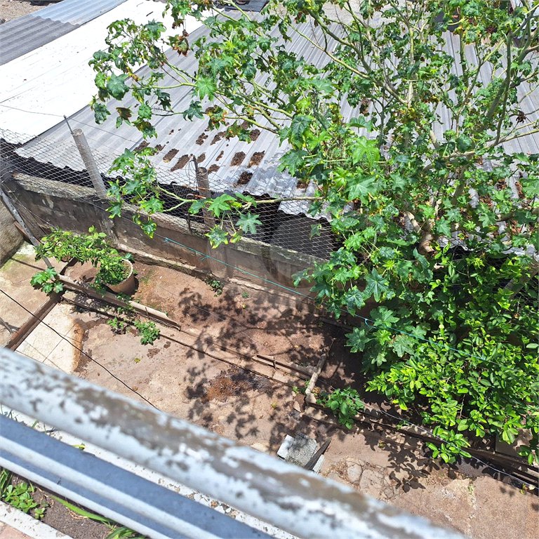 Casa à venda com 4 quartos em Mandaqui, São Paulo, SP