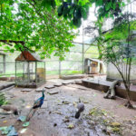 Casa à venda com 11 quartos, sendo 6 suítes, em Taquara, Rio de Janeiro, RJ