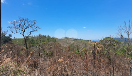 Terreno à venda em Serra da Cantareira, Mairiporã, SP