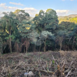 Terreno à venda no condomínio Sausalito, Mairiporã - SP