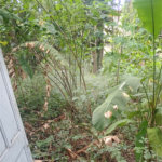 Área de Terra à venda com 4 quartos, sendo 1 suíte, em Pedra de Guaratiba, Rio de Janeiro, RJ