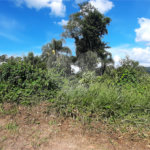 Terreno à venda no condomínio Sausalito, Mairiporã - SP