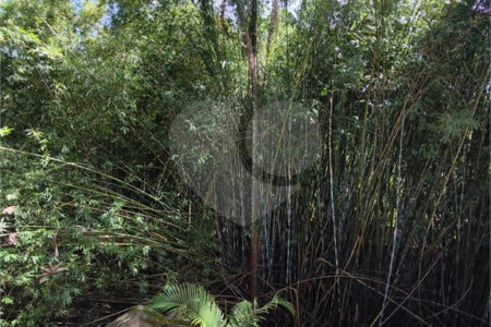 Sobrado à venda com 4 suítes em Barro Branco (zona Norte), São Paulo, SP