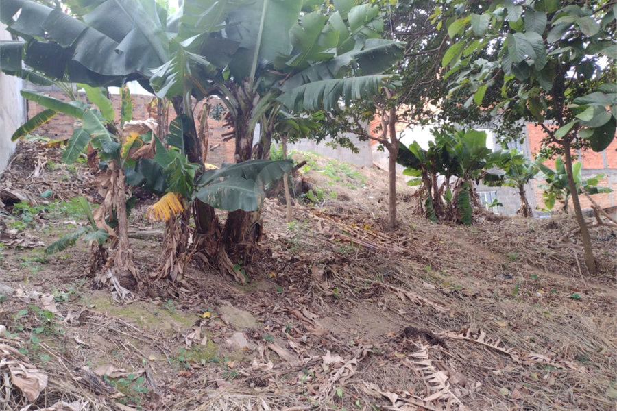 Terreno à venda em Vila Romero, São Paulo, SP