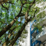 Duplex à venda ou para alugar com 1 suíte em Vila Madalena, São Paulo, SP