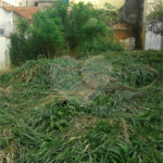Terreno à venda em Imirim, São Paulo, SP
