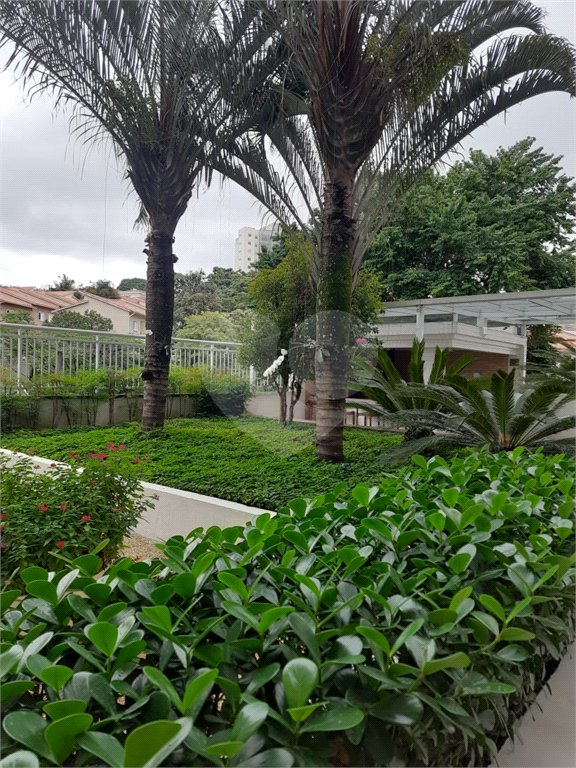 Apartamento à venda ou para alugar com 3 quartos, sendo 1 suíte, em Cidade São Francisco, São Paulo, SP