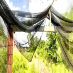Chácara à venda com 4 quartos, sendo 1 suíte, em Jundiacanga, Araçoiaba da Serra, SP