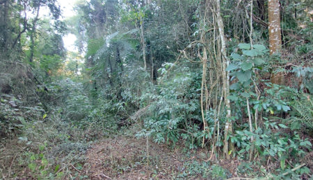 Terreno à venda no condomínio Sausalito, Mairiporã - SP