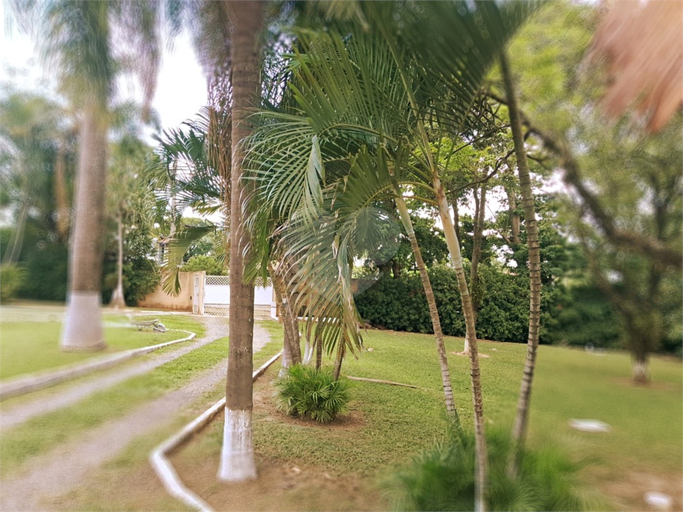 Chácara à venda com 8 quartos, sendo 5 suítes, em Chácara Belvedere, Indaiatuba, SP