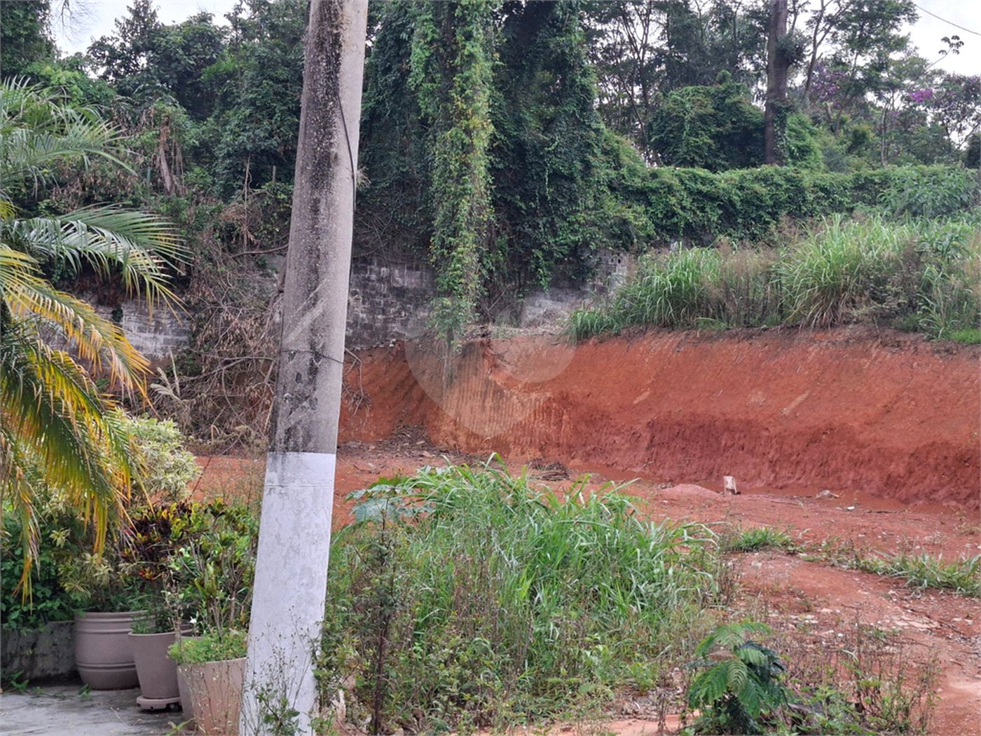Terreno à venda em Vila Albertina, São Paulo, SP