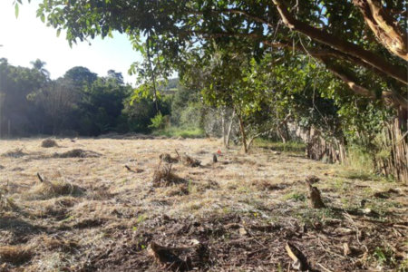 Terreno à venda em Taboão, São Roque, SP