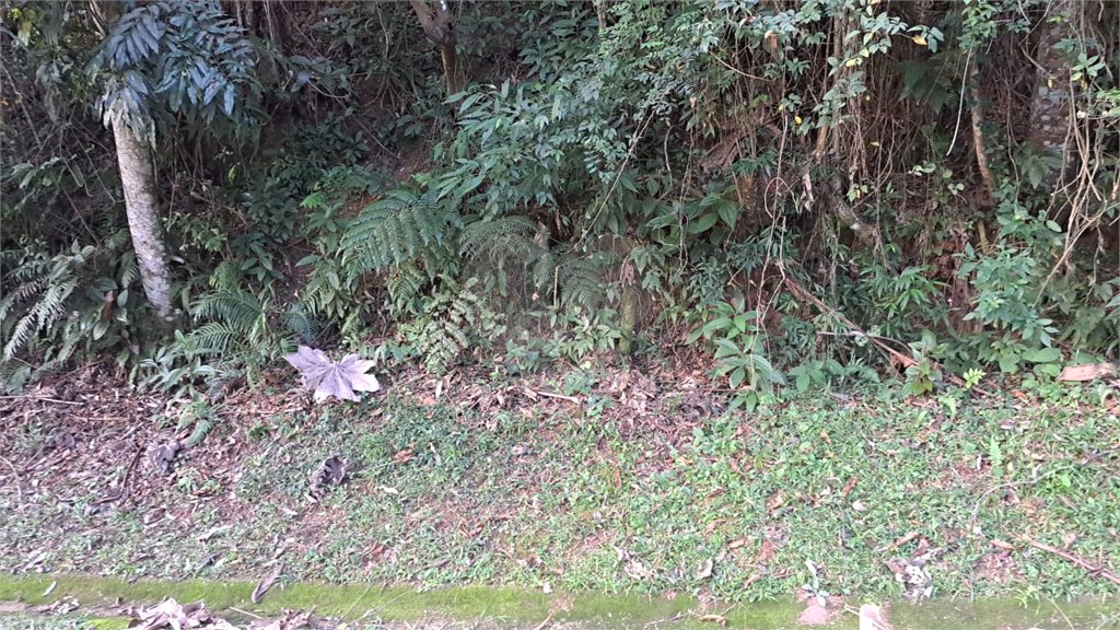 Terreno à venda no condomínio Associação Reserva das Hortênsias, Mairiporã - SP