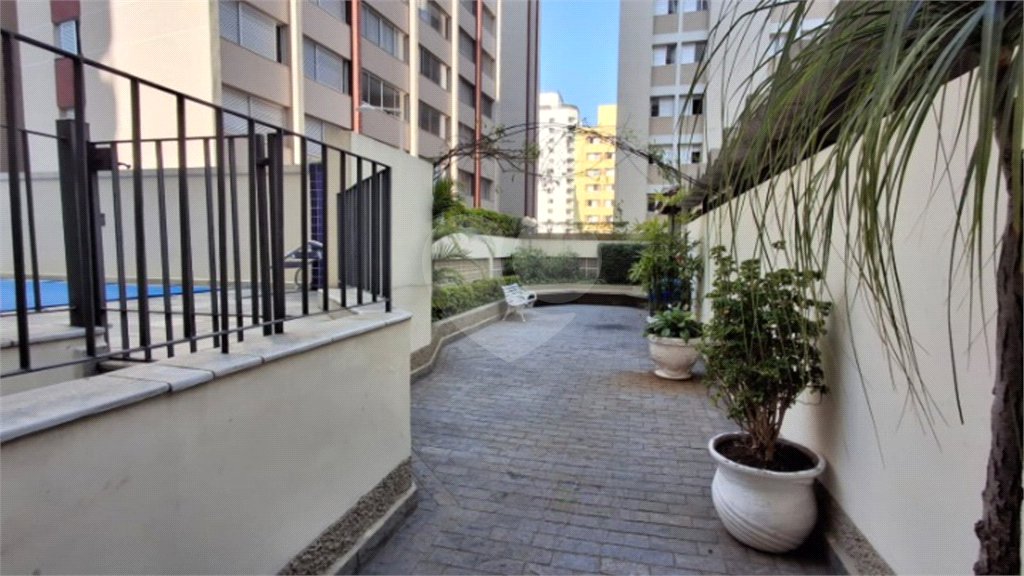 Apartamento à venda com 3 quartos, sendo 1 suíte,  em Indianópolis, São Paulo, SP