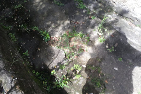 Terreno à venda em Santana, São Paulo, SP