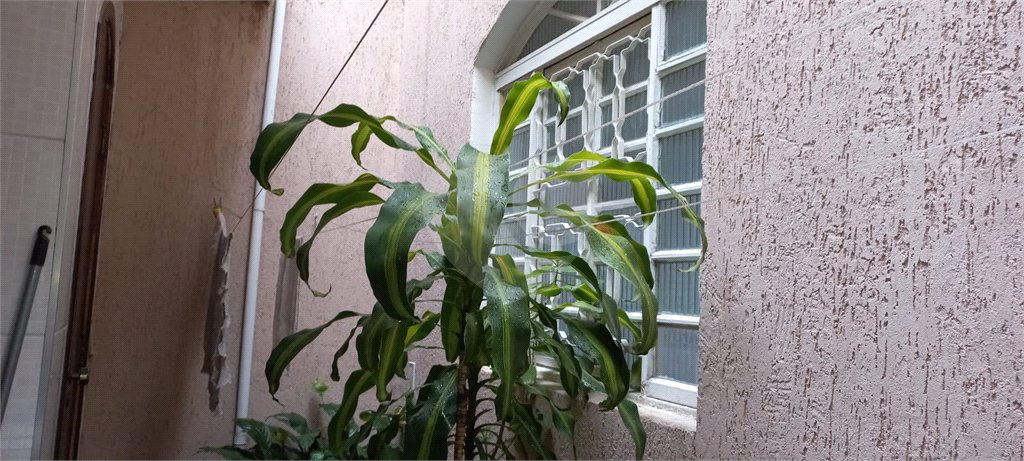 Sobrado à venda com 3 quartos em Água Fria, São Paulo, SP
