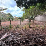 Chácara à venda com 3 quartos em Vila Sottemo, Itapetininga, SP