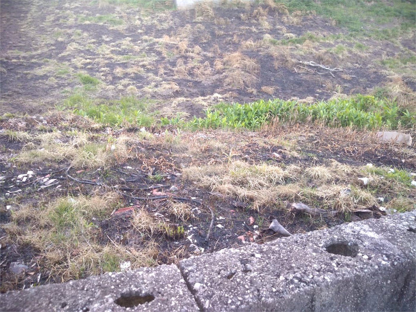 Terreno à venda em Vila Oliveira, Mogi das Cruzes, SP