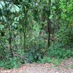 Terreno à venda no condomínio Sausalito, Mairiporã - SP
