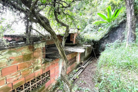 Terreno Residencial à venda, Morro de Nova Cintra, Santos - TE0034.