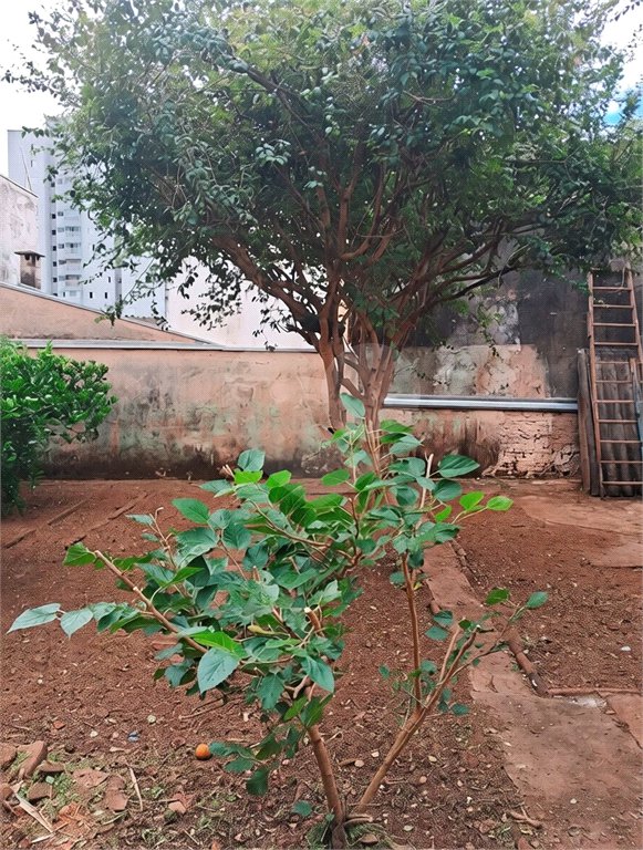 Casa à venda com 3 quartos em Vila Xavier (vila Xavier), Araraquara, SP