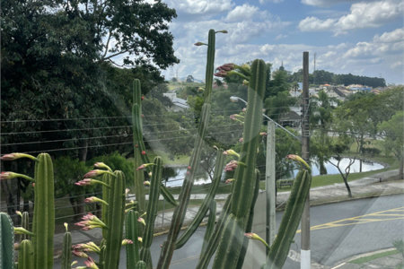 Casa à venda com 2 suítes no condomínio Real Park -  Vila Oliveira, Mogi das Cruzes - SP